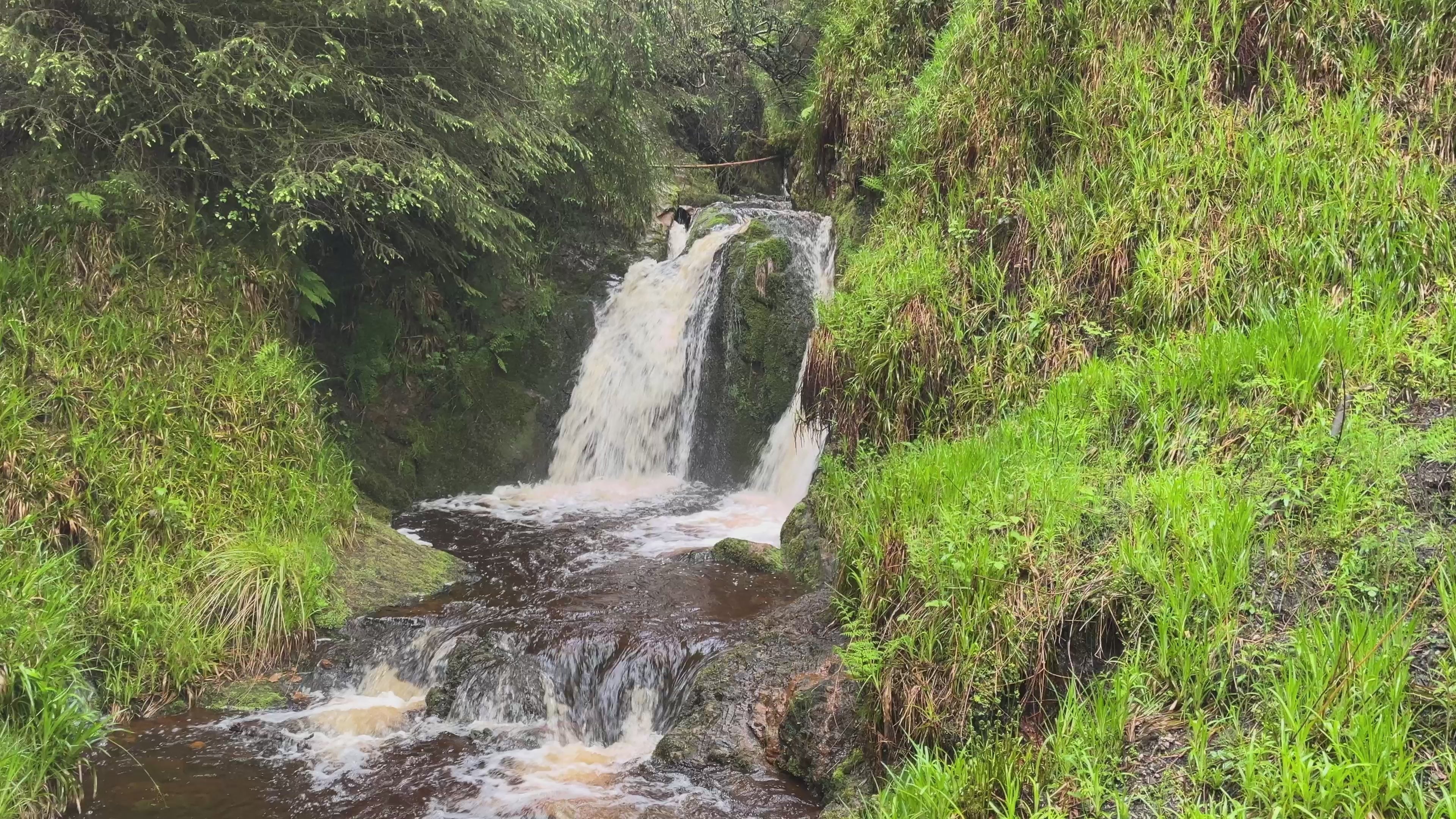 Forest Waterfall, Gortin Glens, Tyrone – Moody Ireland Footage